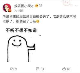 卓伟爆料出狱视频大全最新,揭秘出狱视频大全背后的真相与内幕