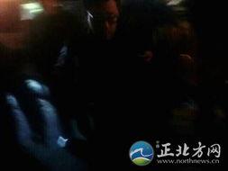 最新爆料斩虎事件视频,惊心动魄的生死较量